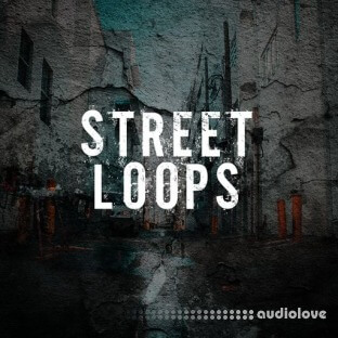 Ztar Audio Street Loops