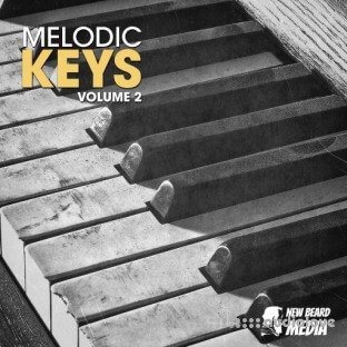New Beard Media Melodic Keys Vol.2