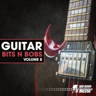 New Beard Media Guitar Bits N Bobs Vol.8