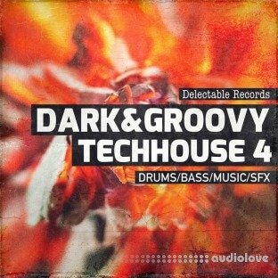 Delectable Records Dark And Groovy TechHouse 04