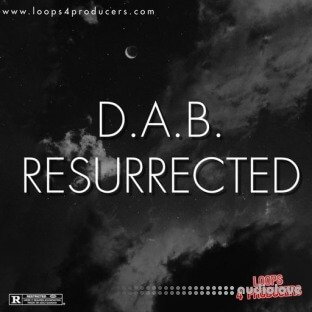 Loops 4 Producers D.A.B. Resurrected
