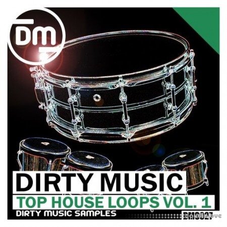 Dirty Music Top House Loops Vol. 1 WAV