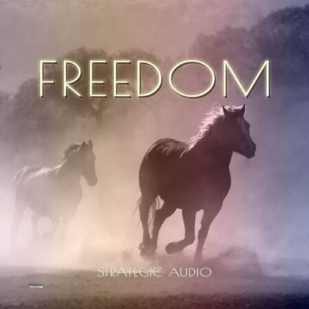 Strategic Audio Freedom WAV