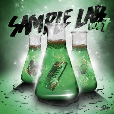 2DEEP Sample Lab Vol.7 WAV