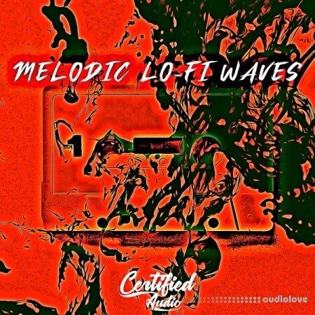 Certified Audio LLC Melodic Lo-Fi Waves WAV