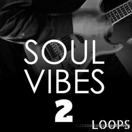 HOOKSHOW Soul Vibes Loops 2