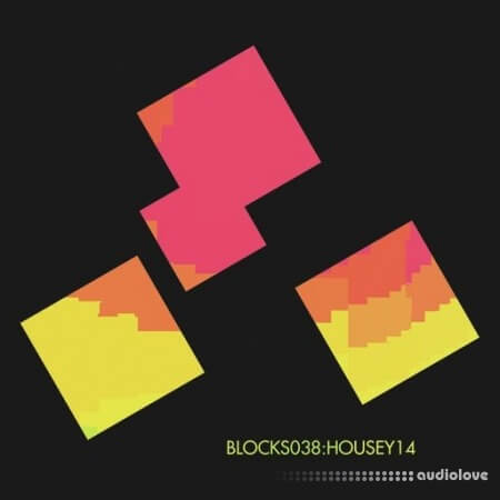 Xelon Digital Blocks 038 Housey 14 WAV