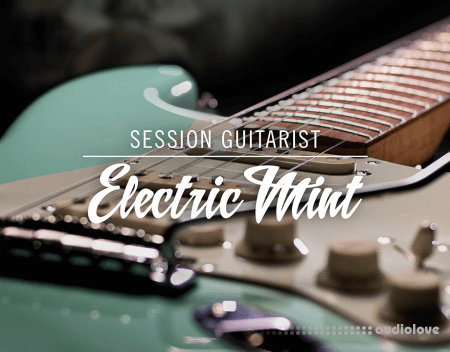 Native Instruments Session Guitarist Electric Mint