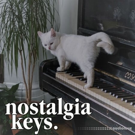 Clark Samples Nostalgia Keys