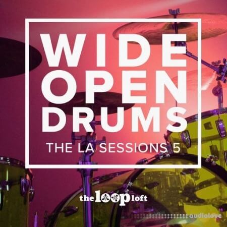 The Loop Loft Wide Open Drums Brush Boom WAV