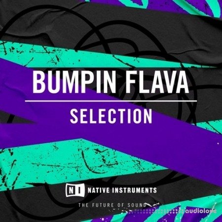 Native Instruments Bumpin Flava