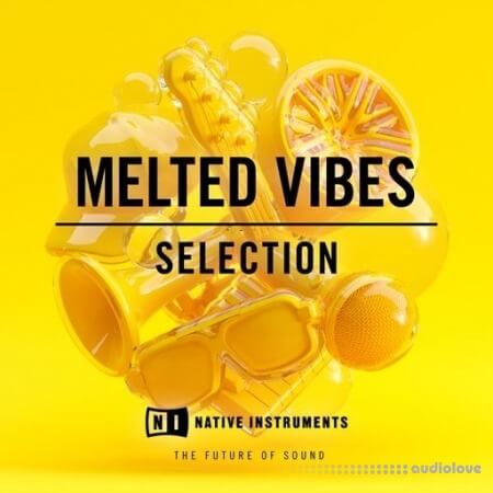 Native Instruments Melted Vibes Selection