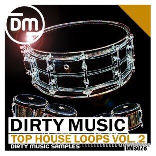 Dirty Music Top House Loops Vol. 2