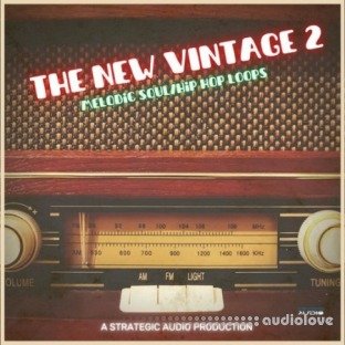 Strategic Audio The New Vintage 2