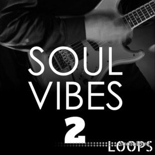 HOOKSHOW Soul Vibes Loops 2