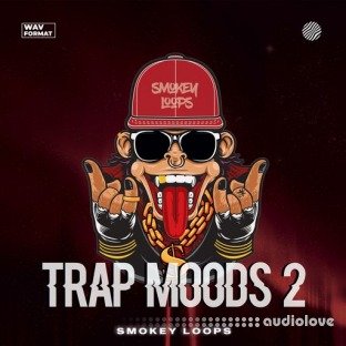 Smokey Loops Trap Moods 2