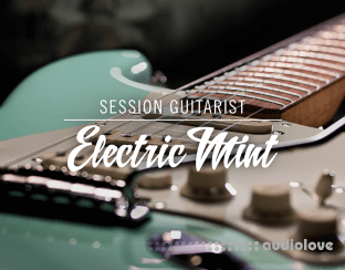 Native Instruments Session Guitarist Electric Mint