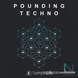 House Of Loop Samplelife Pounding Techno