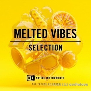 Native Instruments Melted Vibes Selection