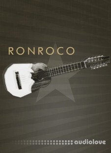 Cinematique Instruments Ronroco v2