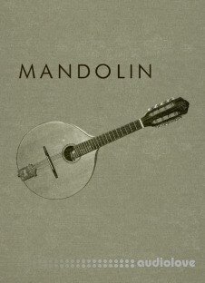 Cinematique Instruments Mandolin