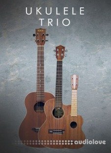 Cinematique Instruments Ukulele Trio