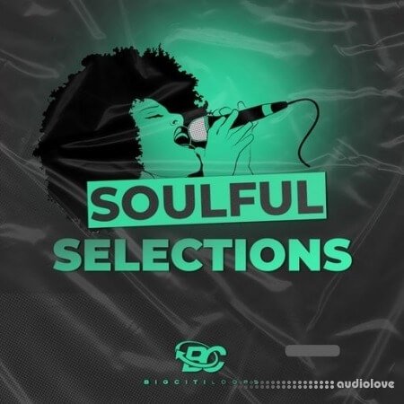 Big Citi Loops Soulful Selections WAV