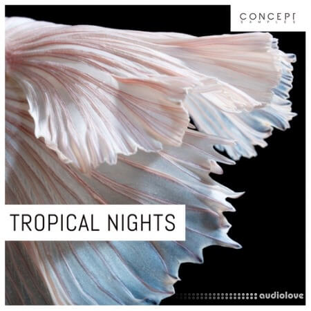 Concept Samples Tropical Nights WAV