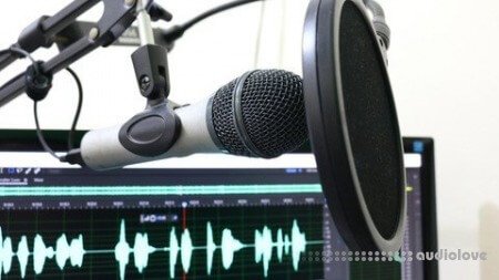 Udemy Professional Podcast Editing