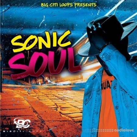 Big Citi Loops Sonic Soul 5 WAV