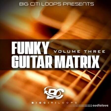 Big Citi Loops Funky Guitar Matrix Vol 3