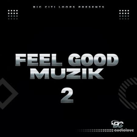 Big Citi Loops FEEL GOOD MUZIK 2