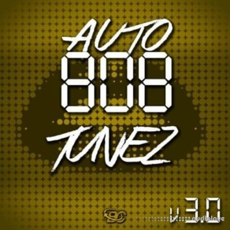 Big Citi Loops Auto 808 Tunez Vol 3 WAV