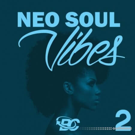 Big Citi Loops Neo Soul Vibes 2 WAV