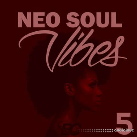 Big Citi Loops Neo Soul Vibes 5 WAV