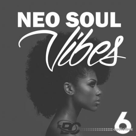 Big Citi Loops Neo Soul Vibes 6 WAV