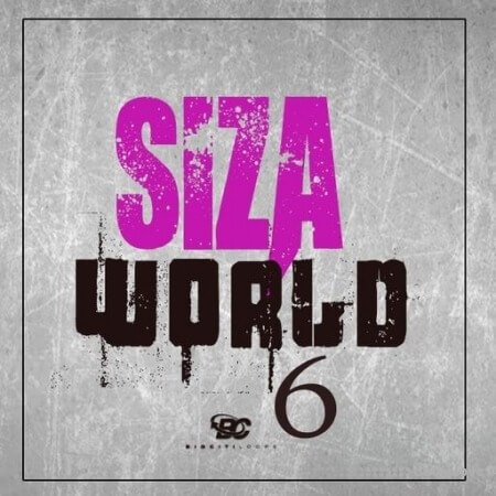 Big Citi Loops Siza World 6 WAV