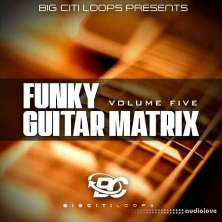 Big Citi Loops Funky Guitar Matrix Vol.5 WAV