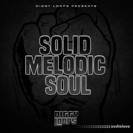 Big Citi Loops Solid Melodic Soul WAV