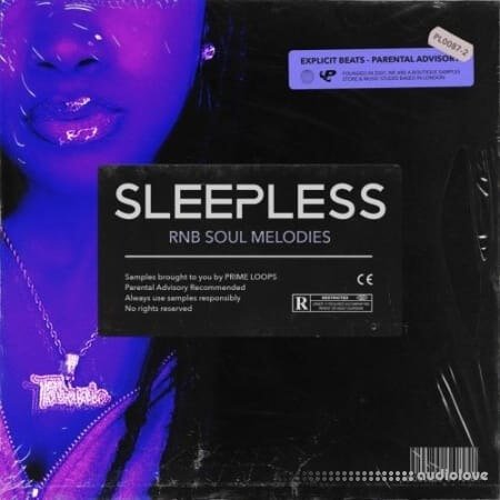 Prime Loops SLEEPLESS RnB Soul Melodies WAV