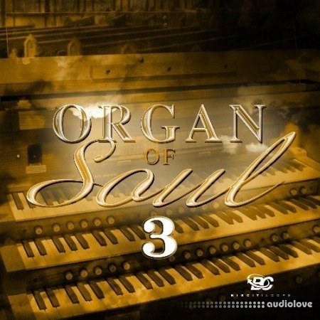 Big Citi Loops Organ Of Soul 3