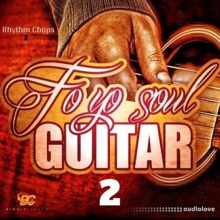 Big Citi Loops Fo Yo Soul Guitar Rhythm Chops 2