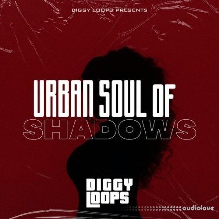 Big Citi Loops Urban Soul Of Shadows WAV