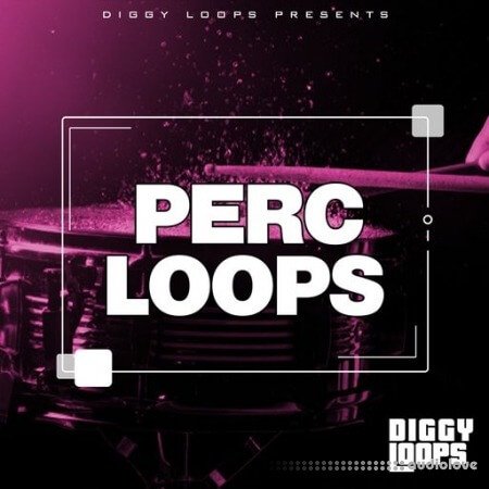 Big Citi Loops Perc Loops