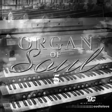 Big Citi Loops Organ Of Soul 5