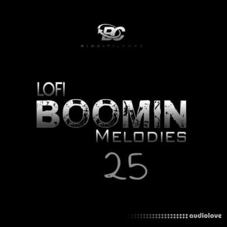 Big Citi Loops Lofi Boomin Melodies 25