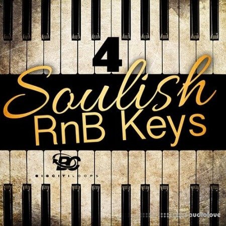 Big Citi Loops Soulish RnB Keys 4