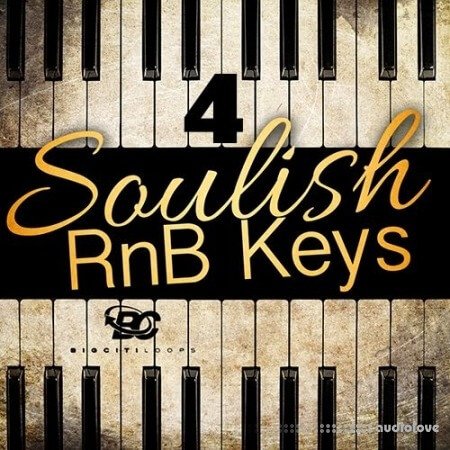 Big Citi Loops Soulish RnB Keys 4 WAV