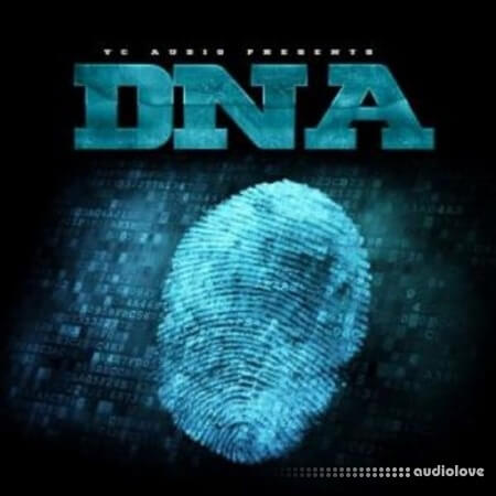 Big Citi Loops DNA