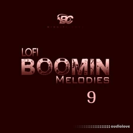 Big Citi Loops Lofi Boomin Melodies 9